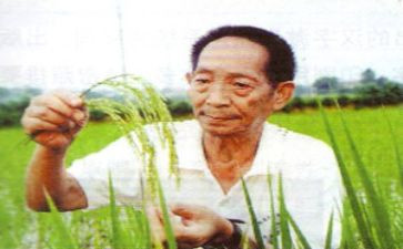 演讲稿致敬袁隆平5篇