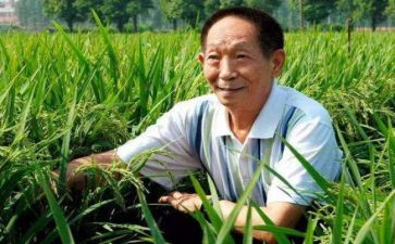 袁隆平的事迹最新8篇