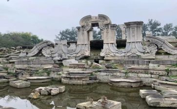 写《圆明园的毁灭》读后感精选5篇