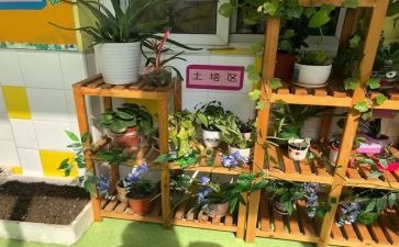 幼儿园培训总结范文参考5篇