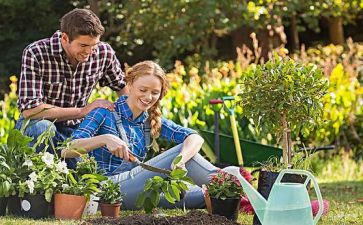 幼儿园艺术节系列活动方案5篇