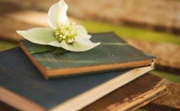 阅读心得范文精选8篇