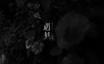 《遇见》的读后感模板5篇
