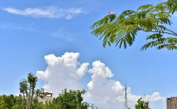 邱少云传读后感5篇