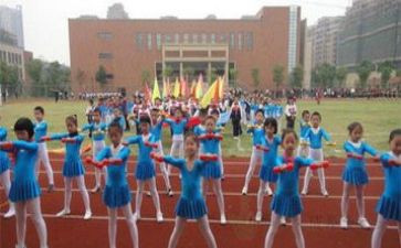 2024中国奥运会心得7篇
