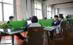学生在校鉴定表自我鉴定8篇