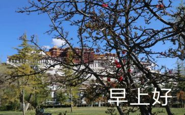 大学生早八心得体会6篇