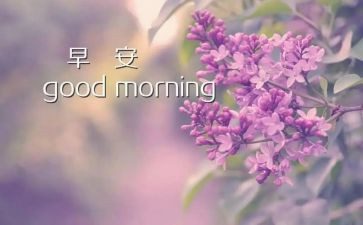 早作文500字最新5篇