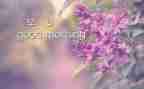 早教课程教案6篇