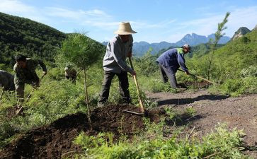 植树造林保护环境演讲稿7篇