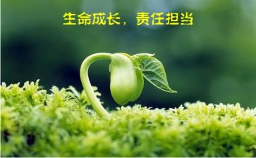 以人生责任写演讲稿8篇