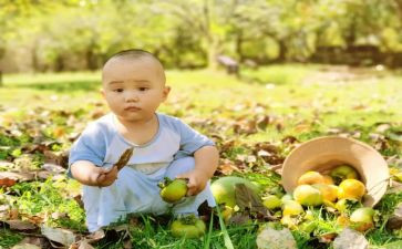 中班音乐《摘果子》教案5篇