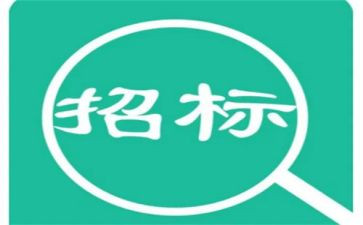 招标年终工作总结5篇