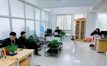 学校招就处述职报告最新7篇