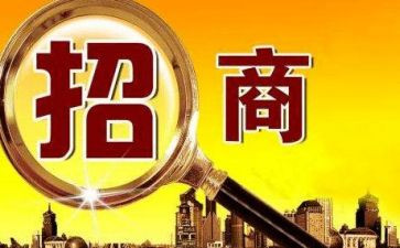 招商工作年终工作总结优质7篇