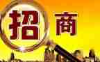 招商工作年终工作总结优质7篇