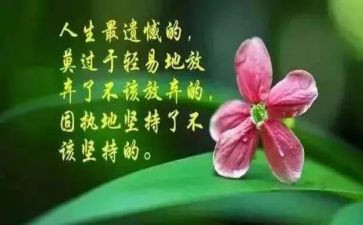 哲理书读后感7篇