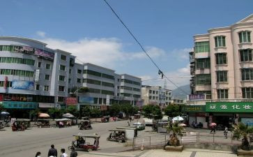 镇退耕还林自查报告8篇