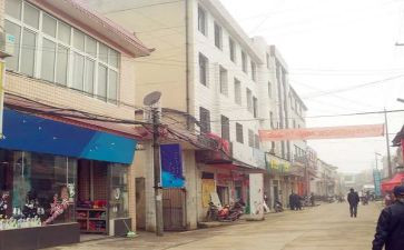 镇半年工作报告2023最新7篇