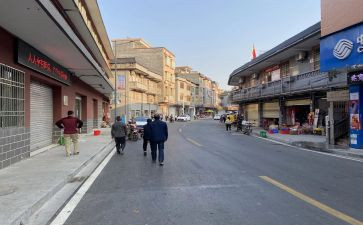 镇半年工作报告2023参考5篇