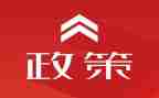 政策课心得体会最新6篇