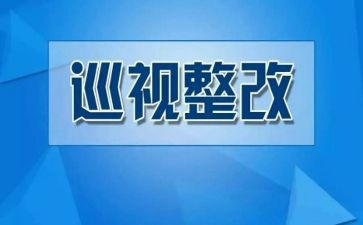 预算绩效整改报告6篇