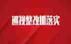 自查整改报告推荐5篇