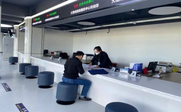 政务自查报告8篇