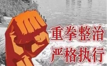 大整治工作总结参考5篇