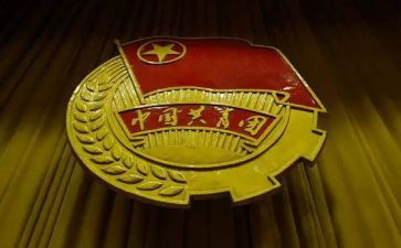 乡镇团委自查报告5篇