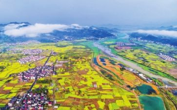振兴乡村先进个人事迹8篇