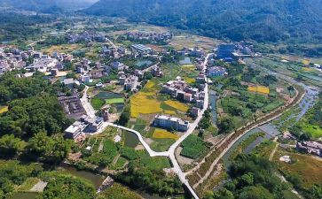 乡村振兴调研报告8篇