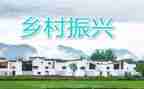 乡村振兴个人典型事迹7篇