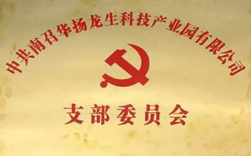 支部委员述职报告8篇