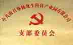 支部委员述职报告8篇