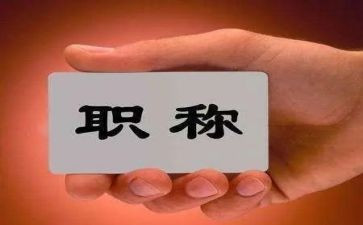 职称工作总结精选6篇