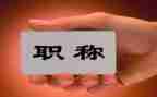 职称工作总结精选6篇