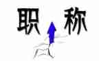 职称工作总结优质7篇