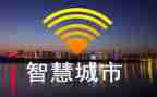 智慧力读后感优质6篇