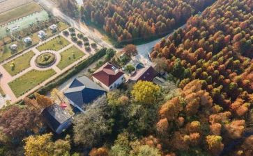 学校乱收费治理自查报告6篇