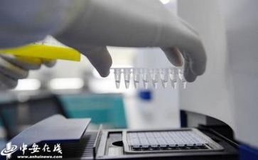 质量演讲稿精选8篇