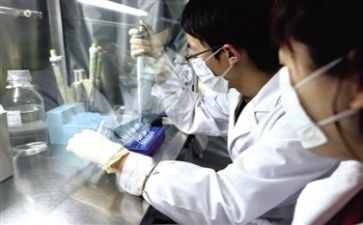 质量活动方案模板7篇