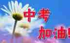 中考的演讲稿模板7篇