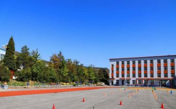 村中心校班子述职报告8篇