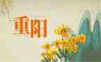 重阳敬老节演讲稿模板6篇