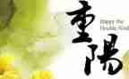 庆重阳节活动方案8篇