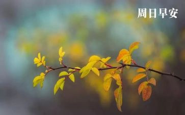 周末也烦恼作文6篇