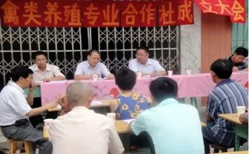 专合社先进个人事迹精选8篇