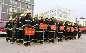 专职队述职报告范文6篇
