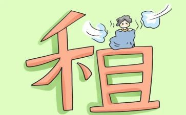 转租房子合同优质8篇